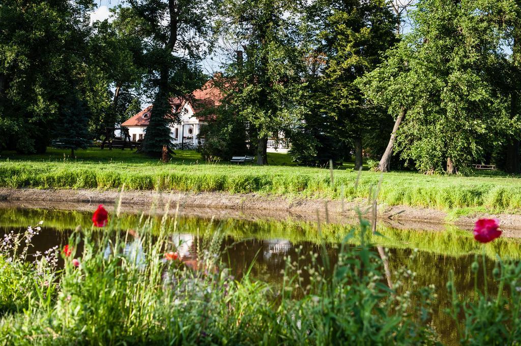 Bialki Dolne Dwor Osmolice Bed & Breakfast エクステリア 写真