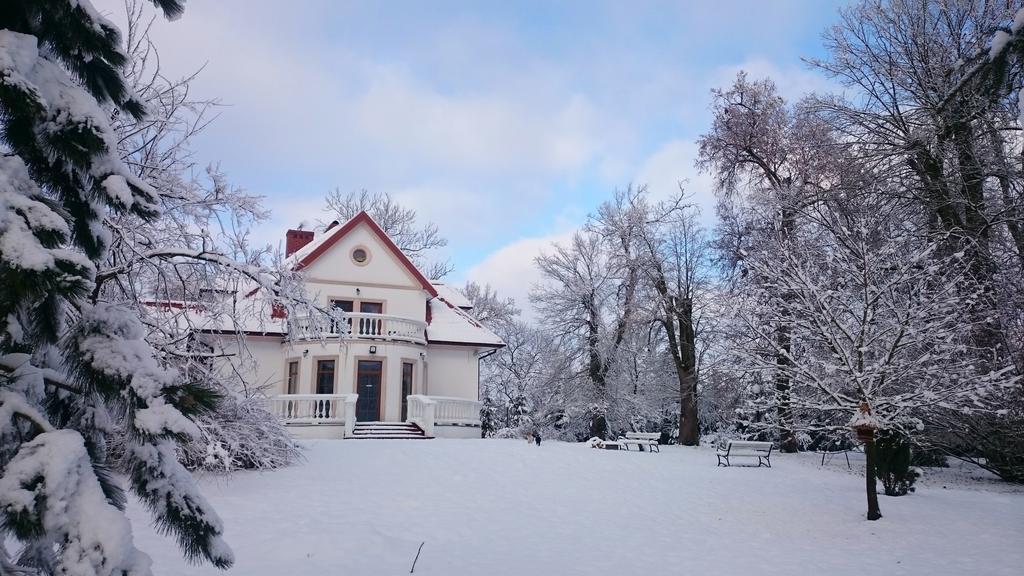 Bialki Dolne Dwor Osmolice Bed & Breakfast エクステリア 写真