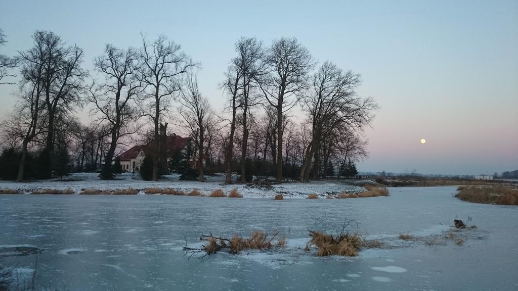 Bialki Dolne Dwor Osmolice Bed & Breakfast エクステリア 写真
