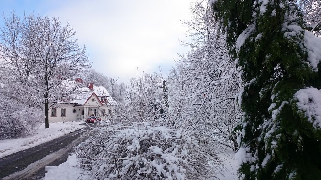 Bialki Dolne Dwor Osmolice Bed & Breakfast エクステリア 写真