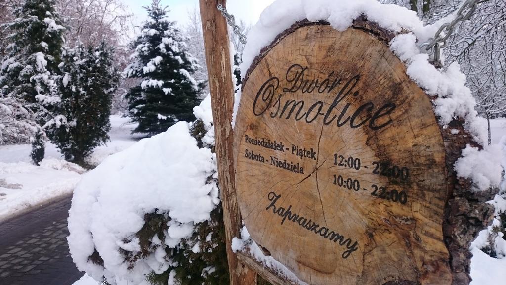 Bialki Dolne Dwor Osmolice Bed & Breakfast エクステリア 写真