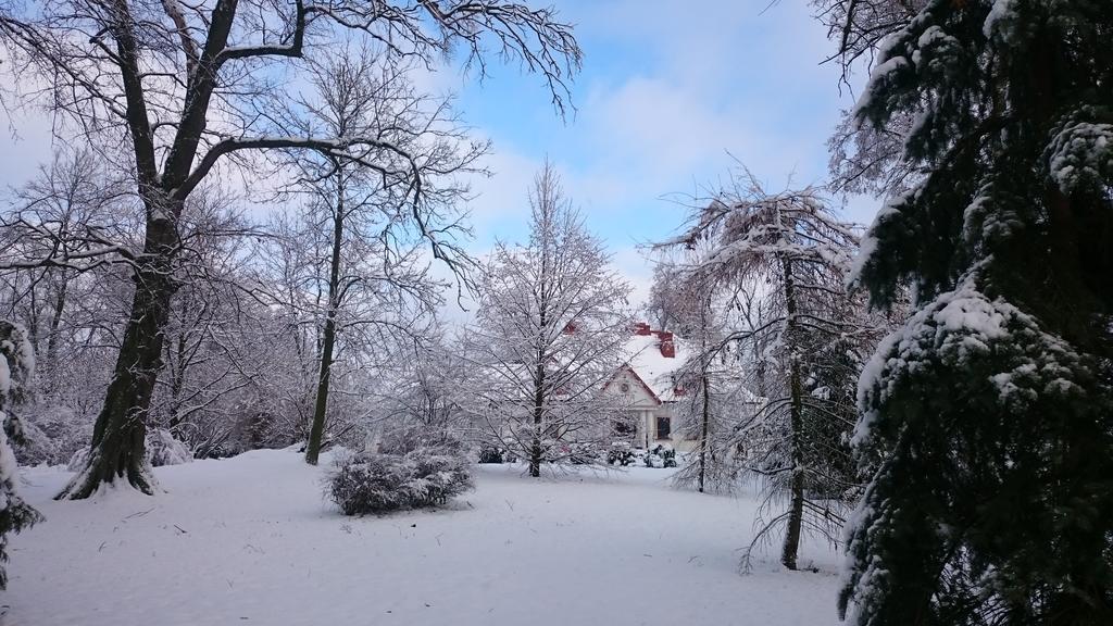 Bialki Dolne Dwor Osmolice Bed & Breakfast エクステリア 写真